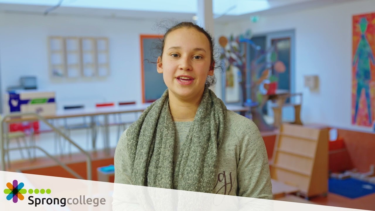 Sprongcollege: stage en werk