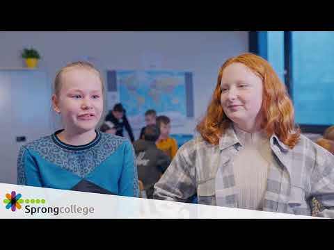 Sprongcollege: de mentor
