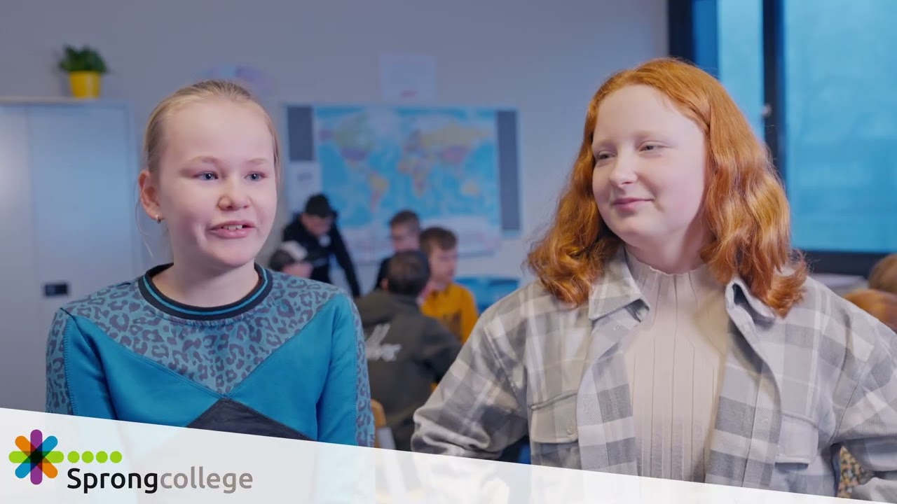 Sprongcollege: de mentor
