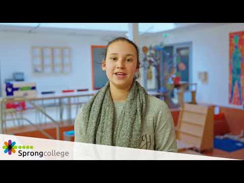 Sprongcollege: stage en werk